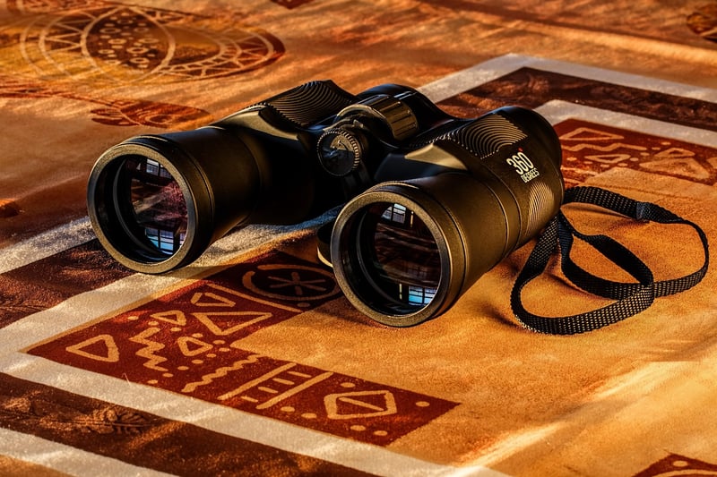 Future Visions